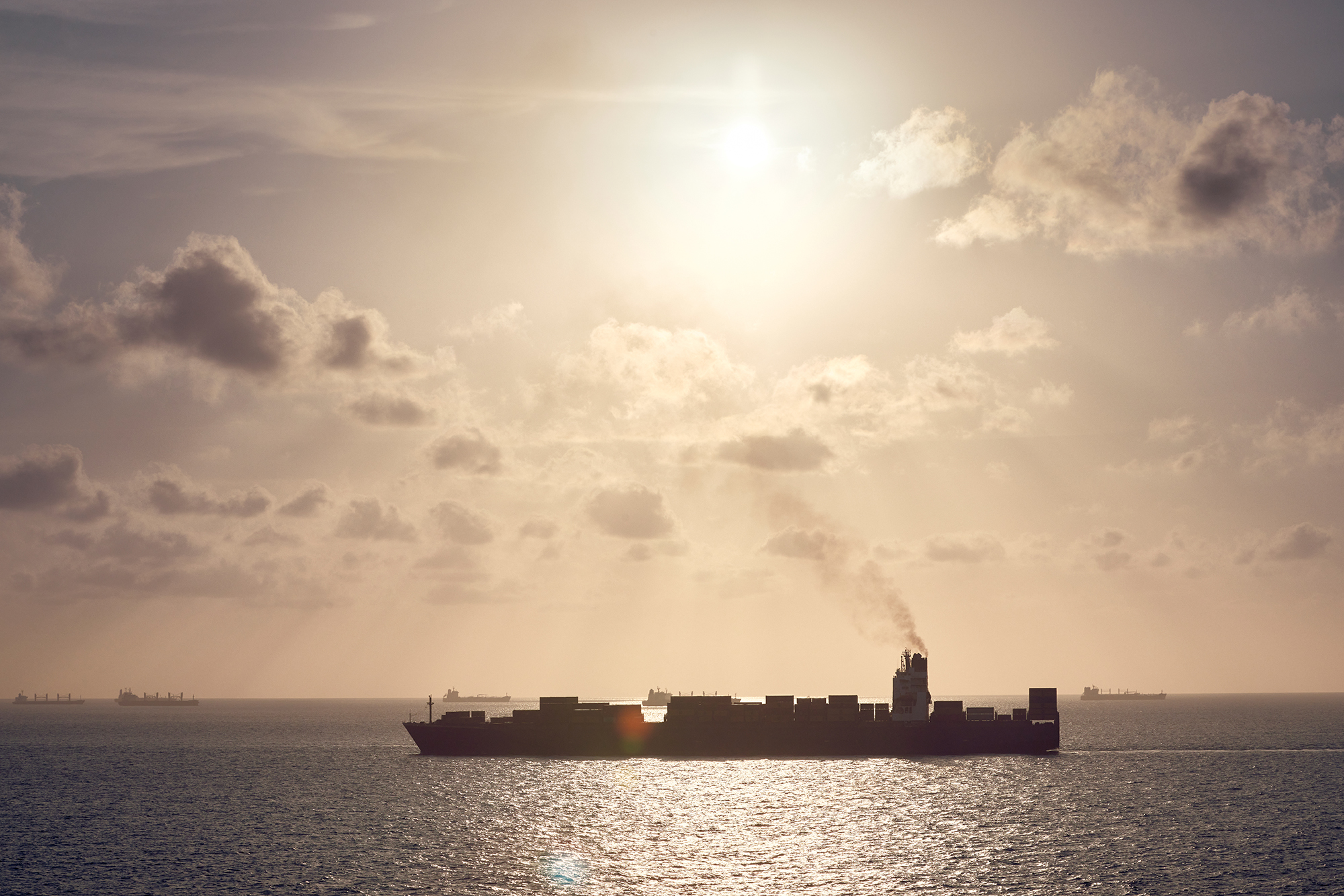 AS-Floriana_OB18123-1-Kopie