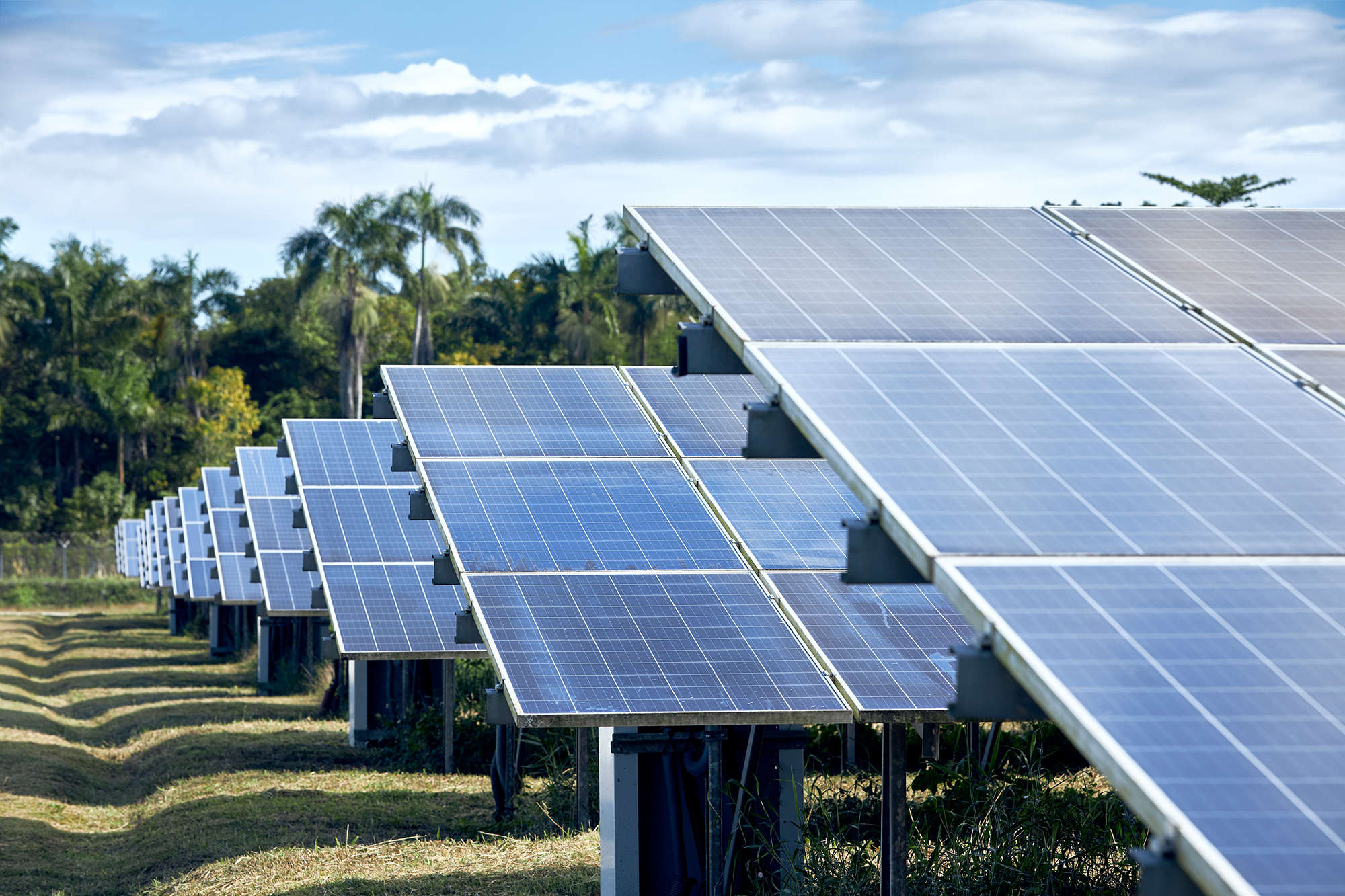 Paradise-Park__COB9976